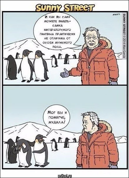 Комиксы и карикатуры