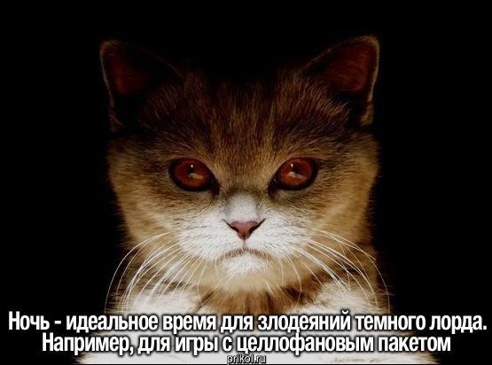 Комиксы и карикатуры