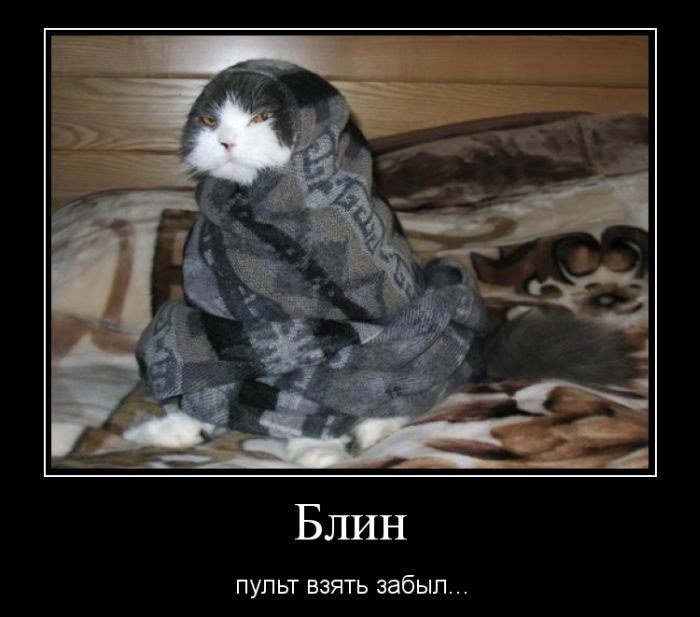 Демотиватор