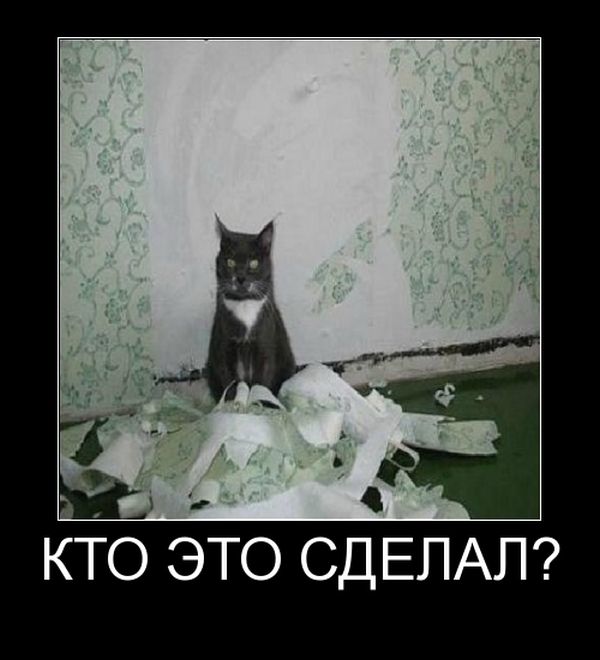 Демотиватор