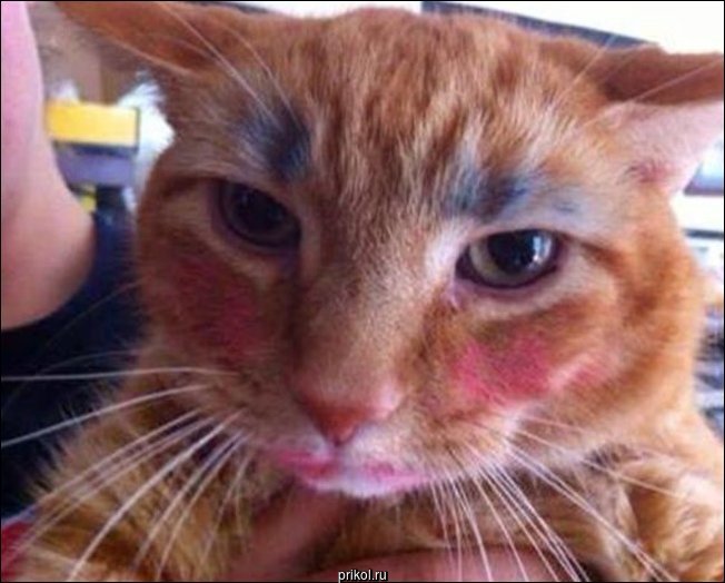 Когда дети остались без присмотра