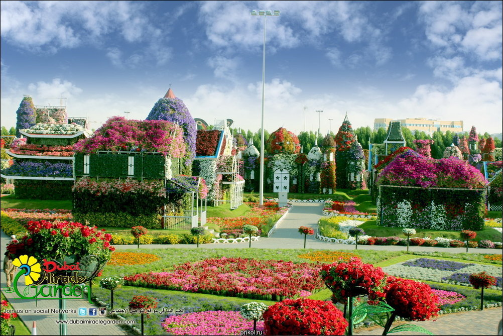 Чудо-сад в Дубае