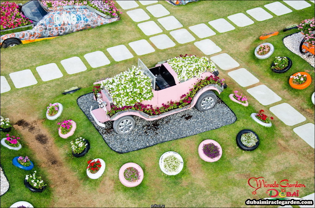 Чудо-сад в Дубае