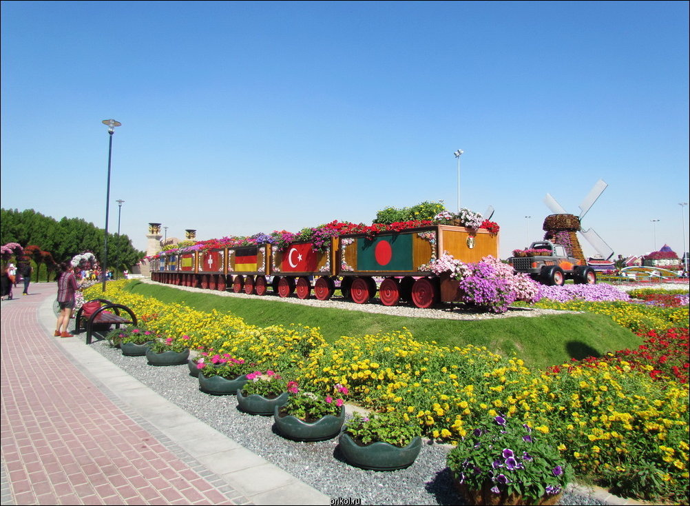 Чудо-сад в Дубае