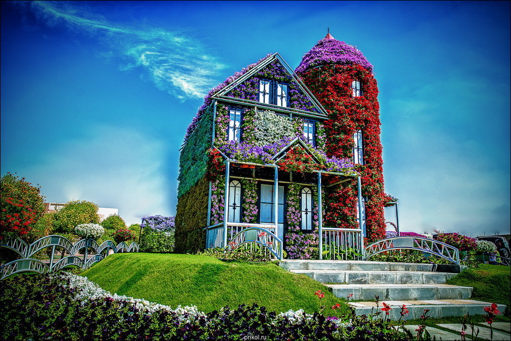 Чудо-сад в Дубае