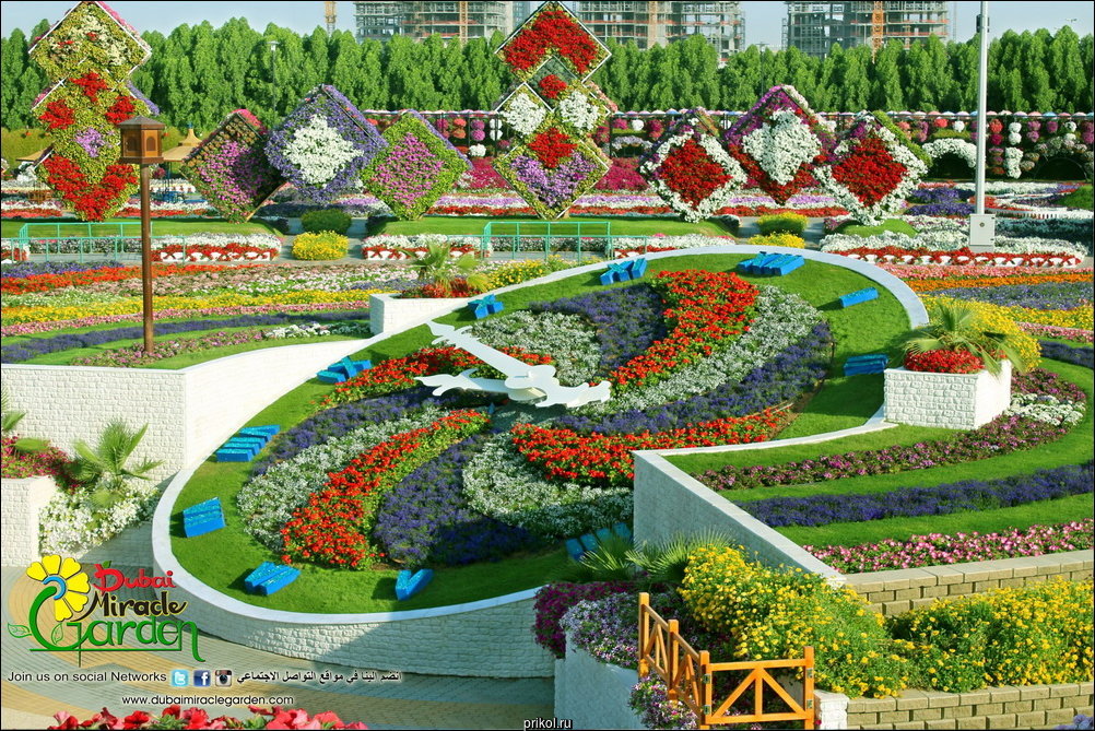 Чудо-сад в Дубае