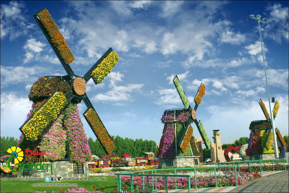 Чудо-сад в Дубае