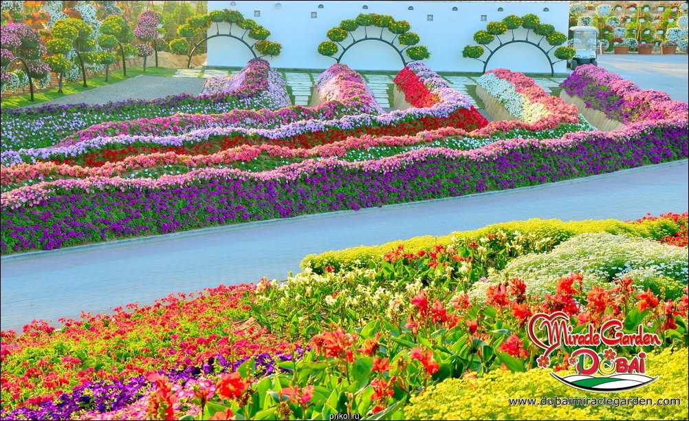 Чудо-сад в Дубае