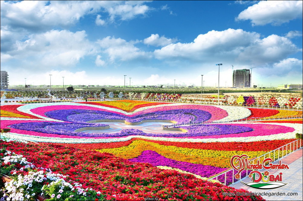 Чудо-сад в Дубае