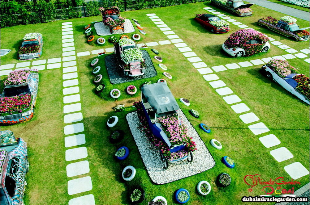 Чудо-сад в Дубае