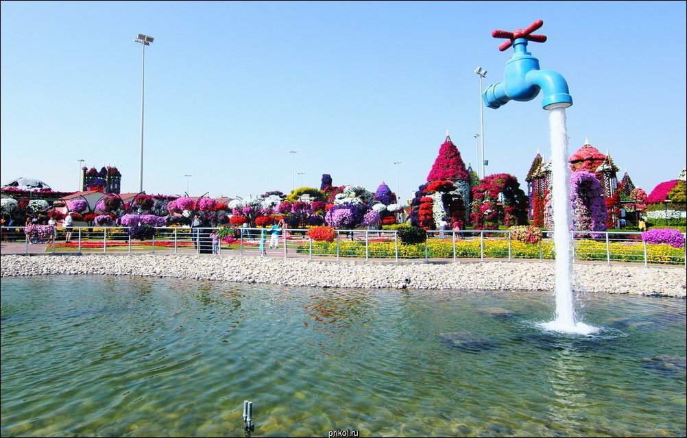 Чудо-сад в Дубае