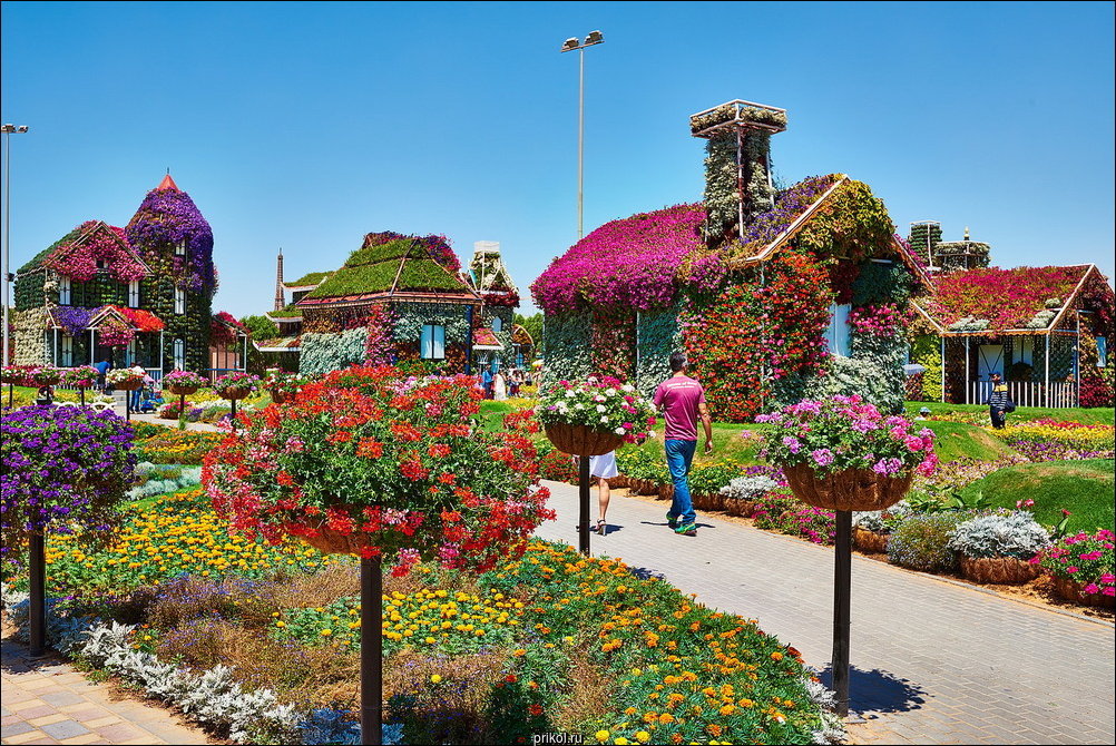 Чудо-сад в Дубае