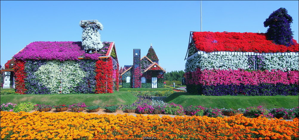 Чудо-сад в Дубае