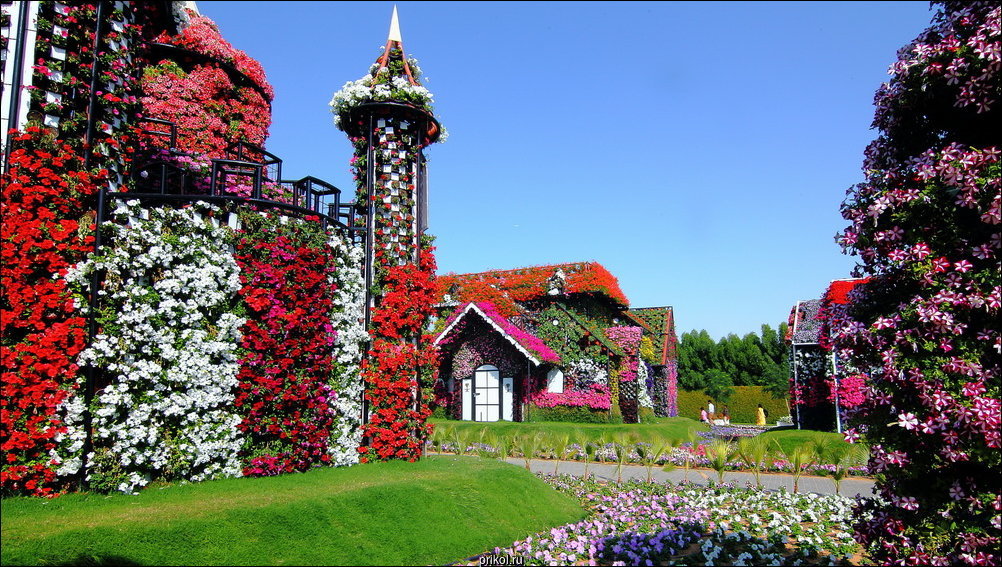 Чудо-сад в Дубае