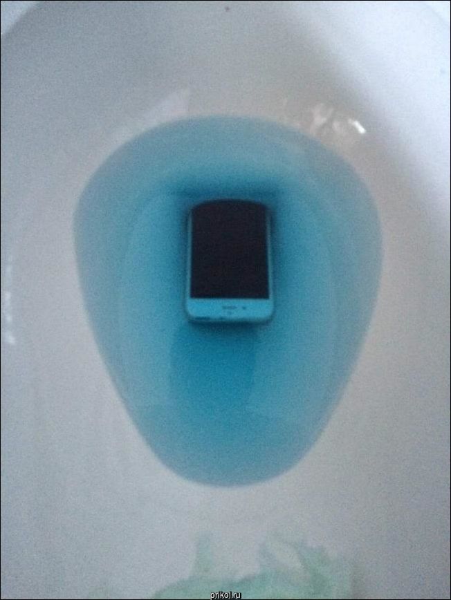 Фото приколы