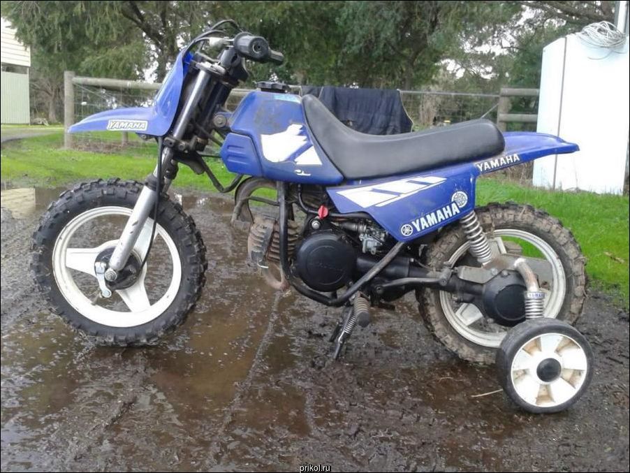 Фото приколы