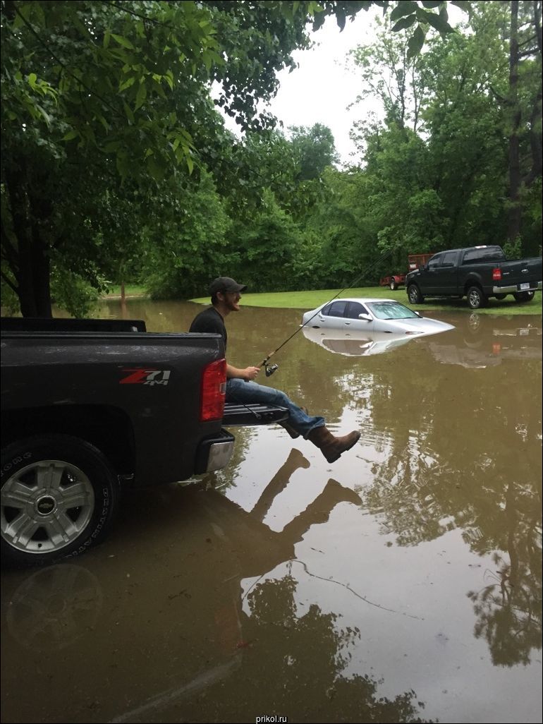 Фото приколы