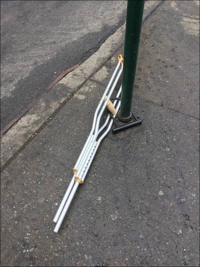 Фото приколы