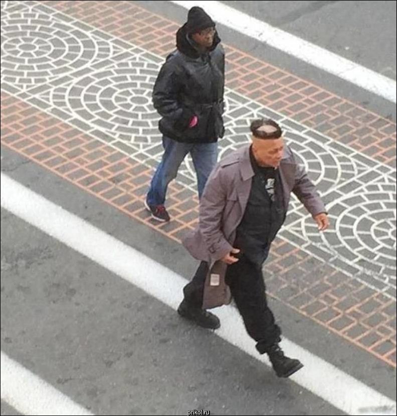 Фото приколы