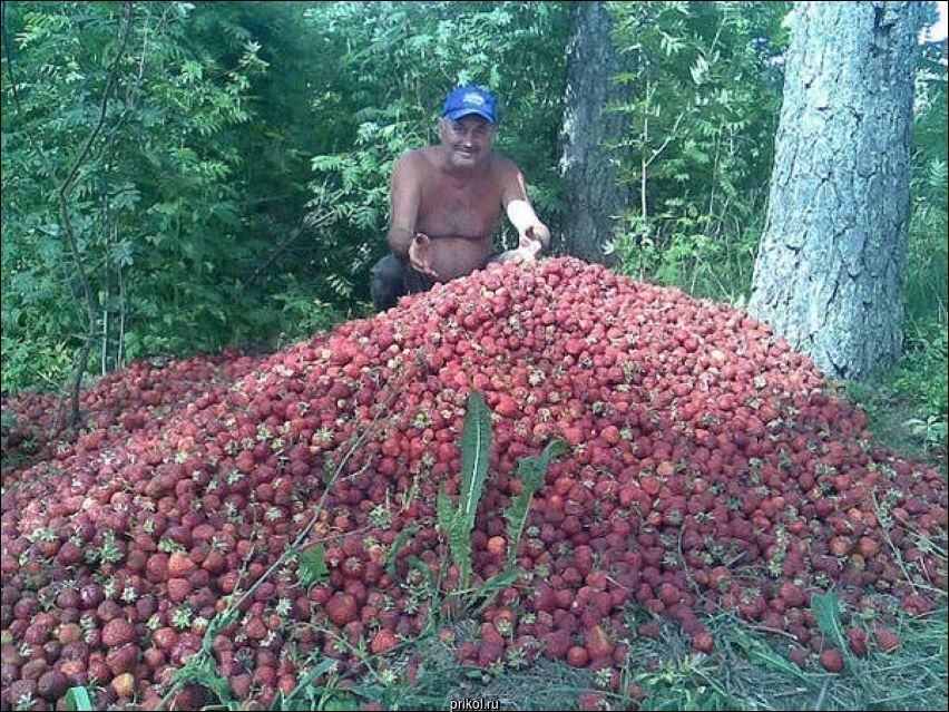 Фото приколы