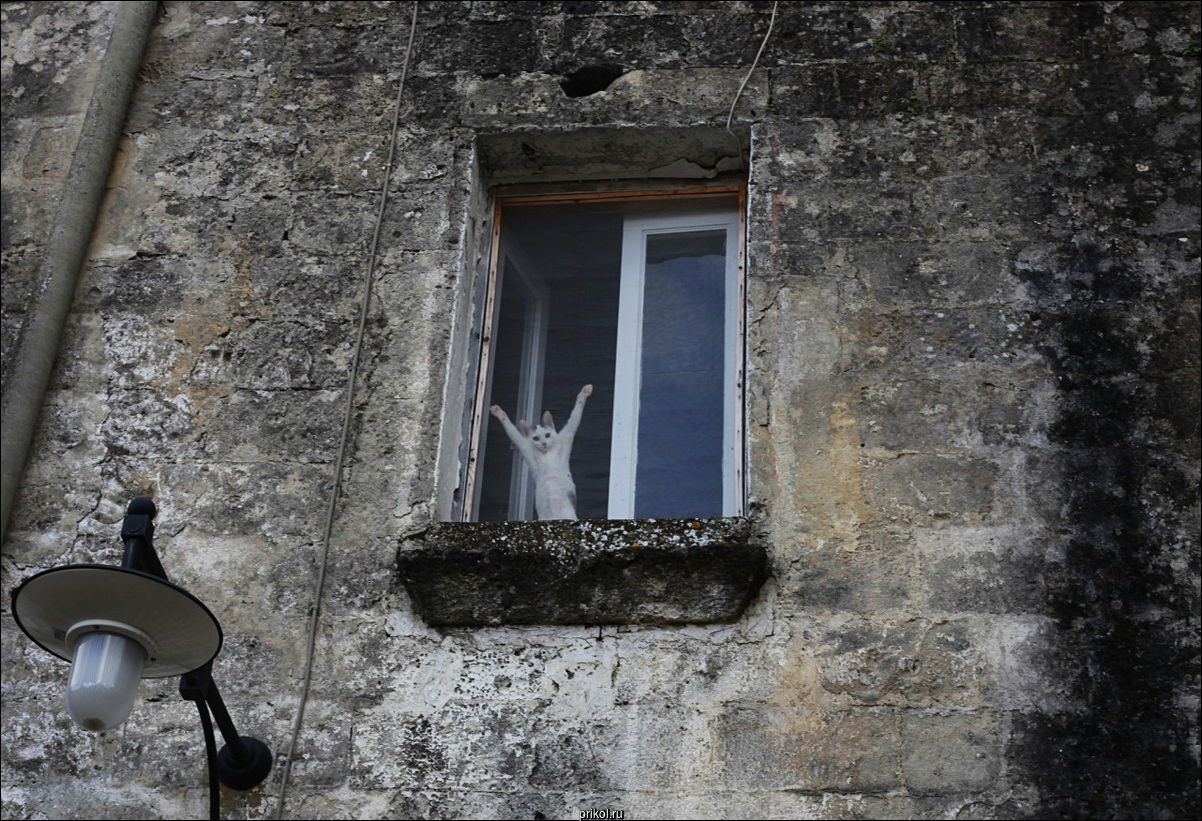 Фото приколы