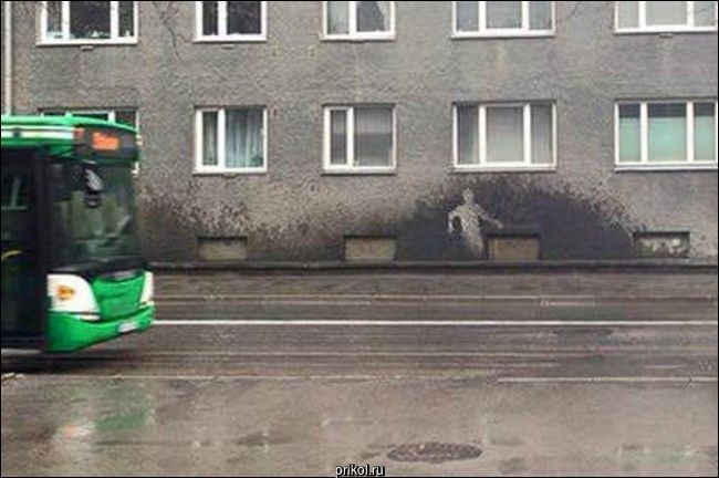 Фото приколы