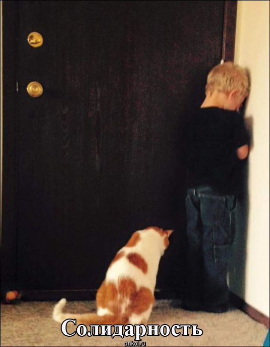 Фото приколы