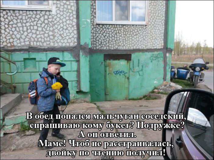 Фото приколы