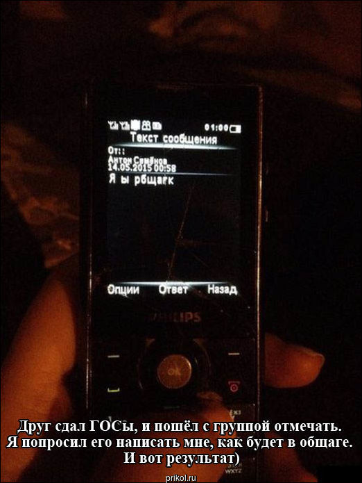 Фото приколы