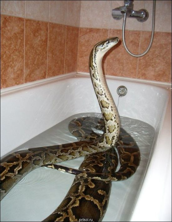 Фото приколы