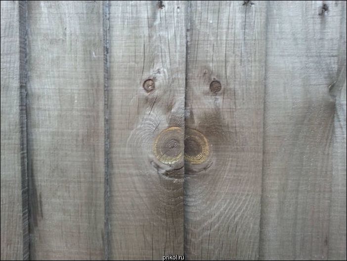 Фото приколы