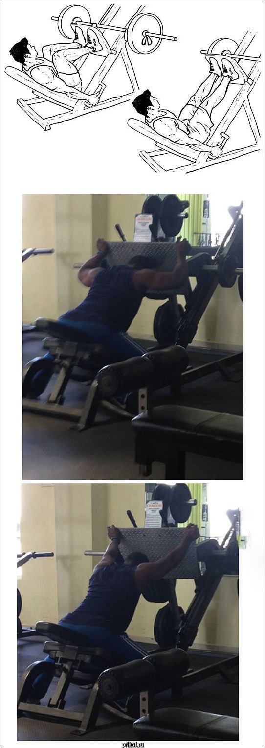 Фото приколы