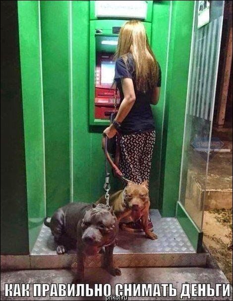 Фото приколы