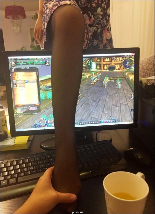 Фото приколы