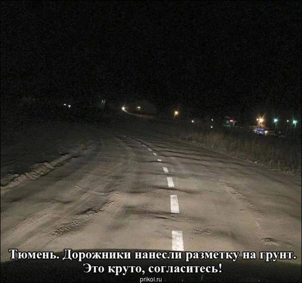 Фото приколы