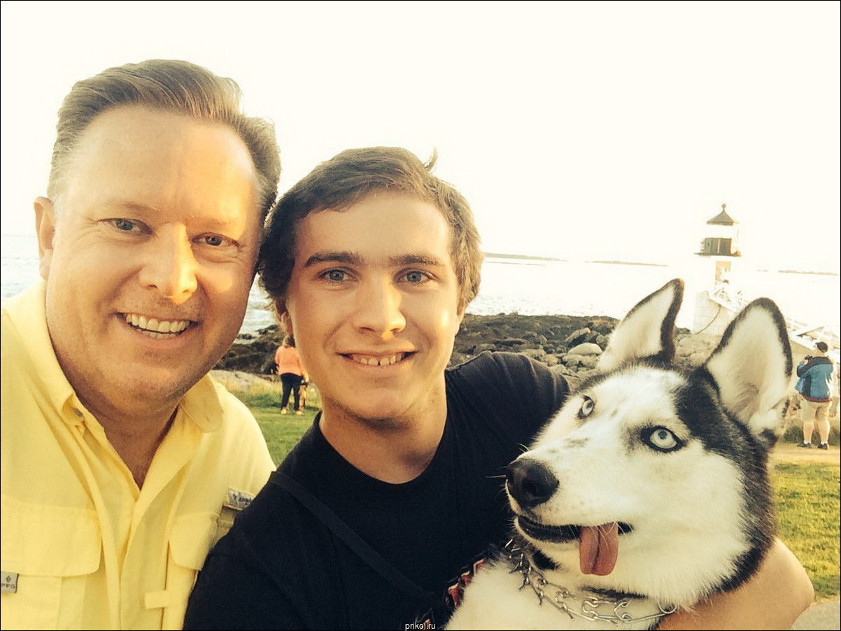 Фото приколы