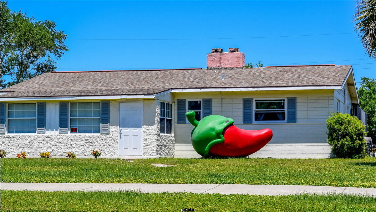 Фото приколы