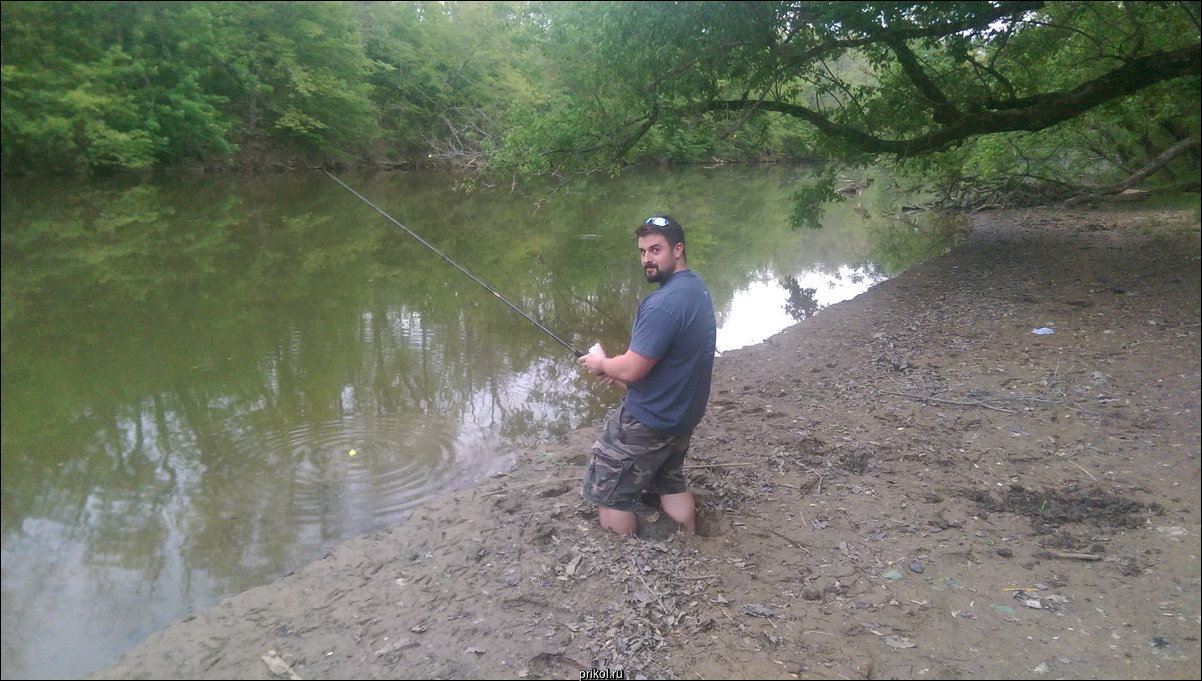 Фото приколы