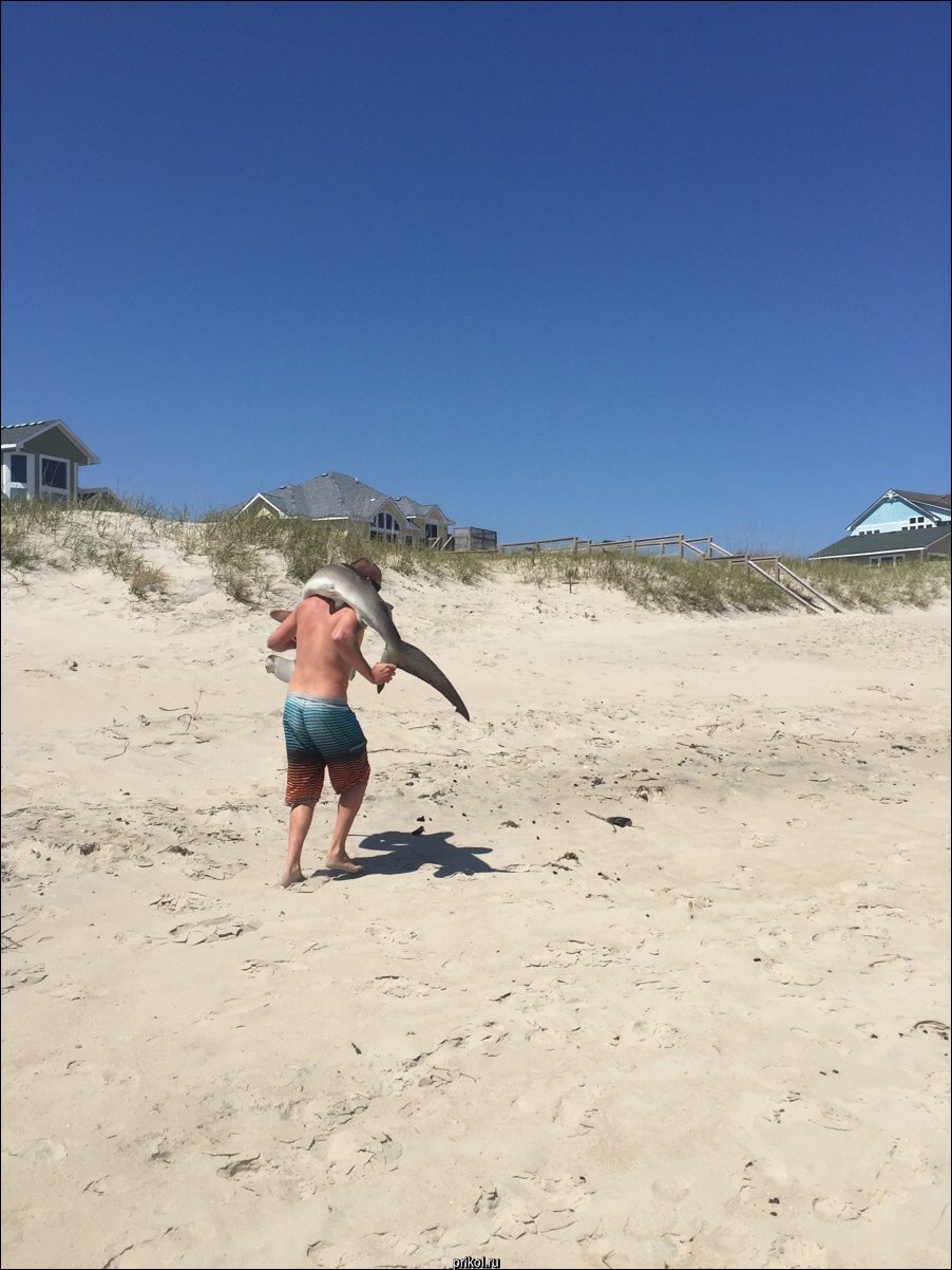 Фото приколы