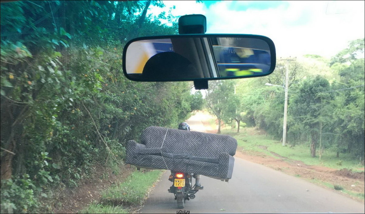 Фото приколы