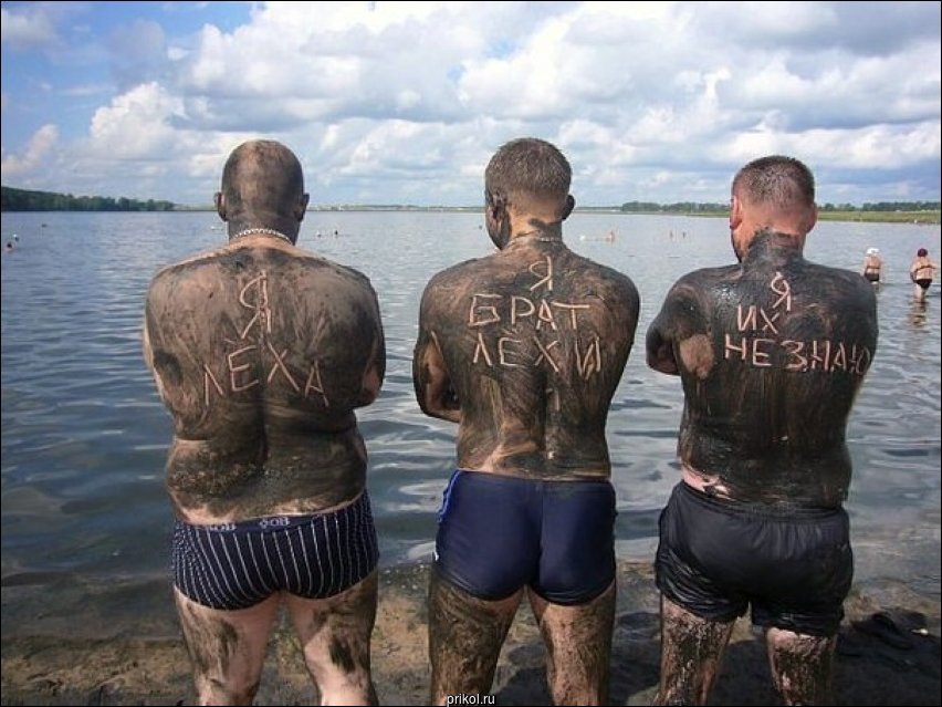 Фото приколы