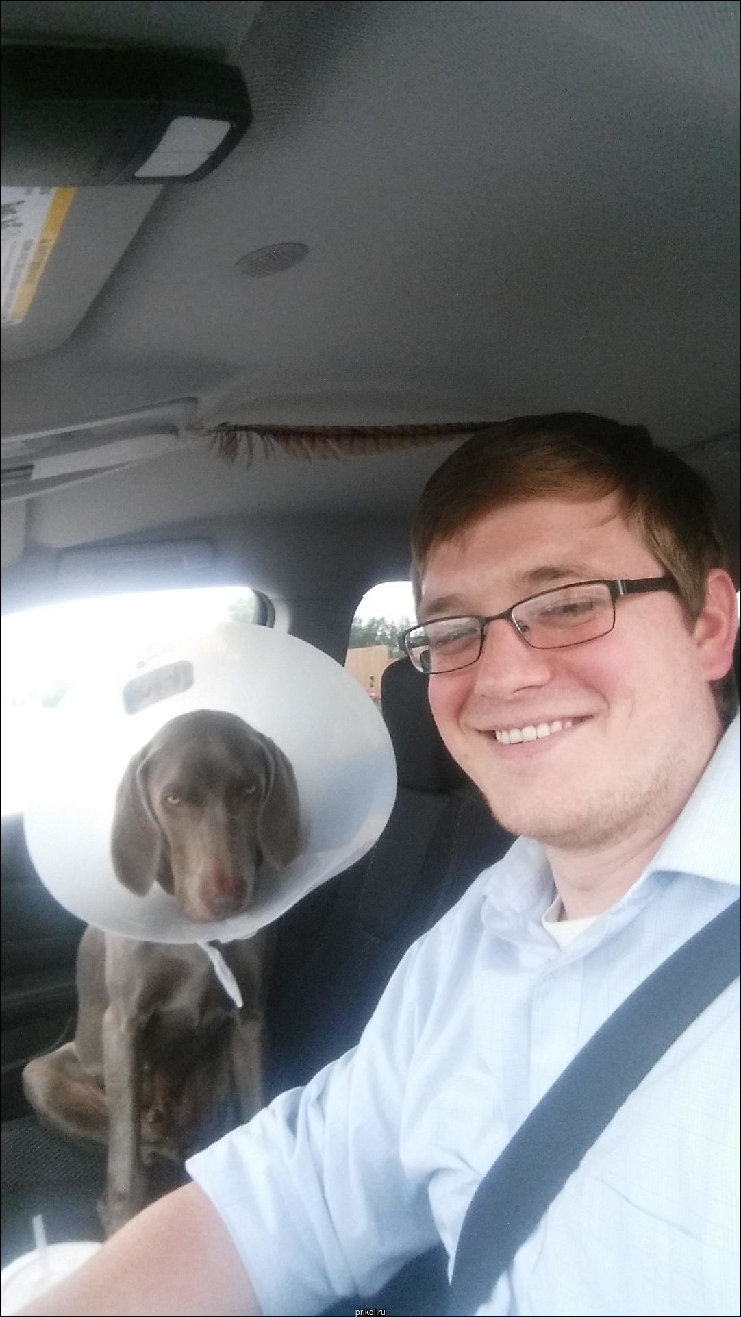 Фото приколы