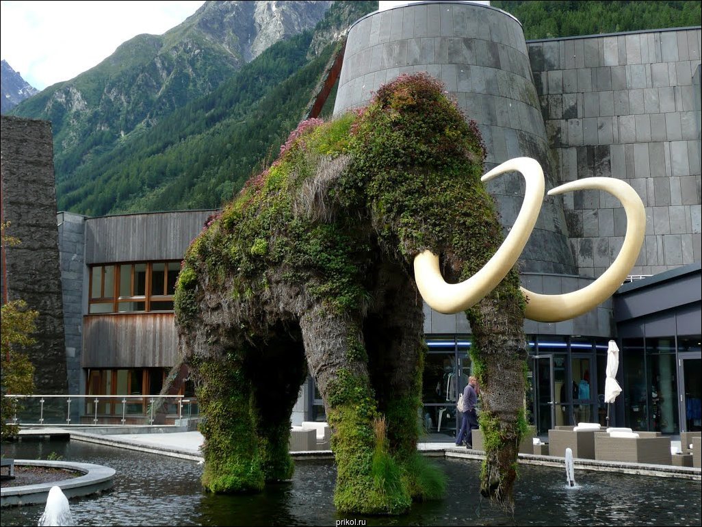 Фото приколы