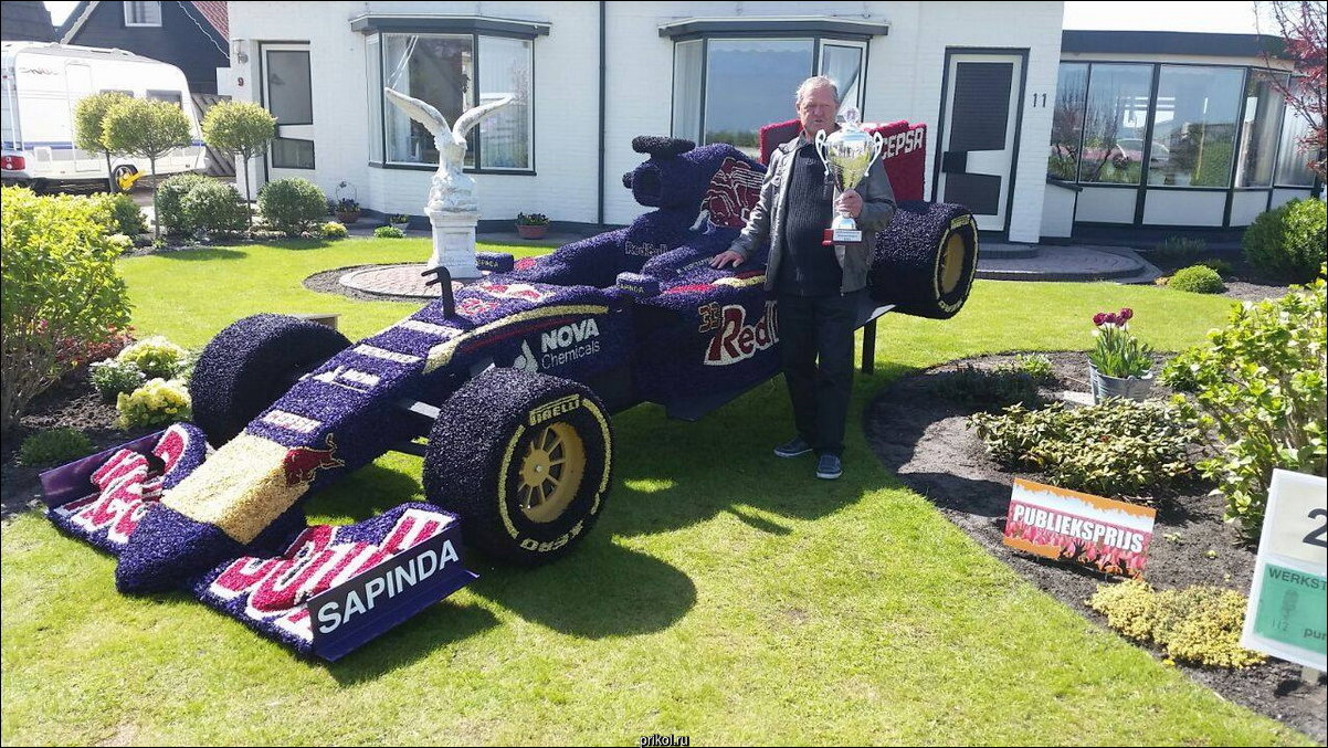 Фото приколы