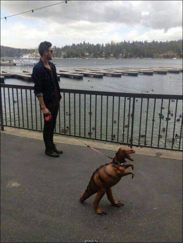 Фото приколы