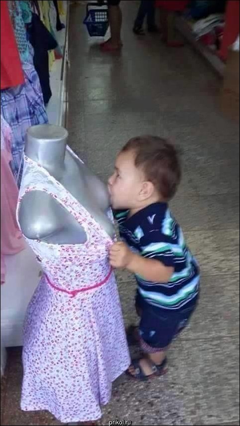 Фото приколы