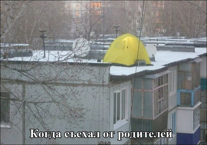 Фото приколы