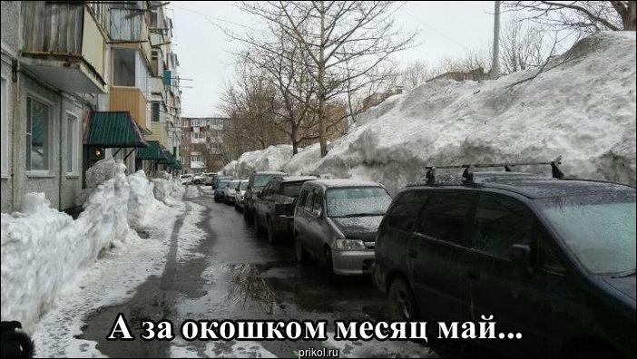 Фото приколы