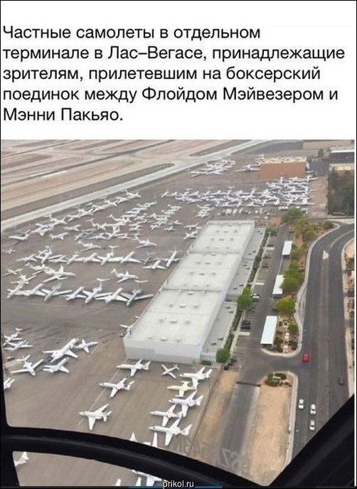 Фото приколы