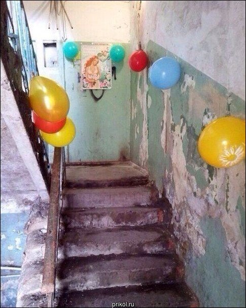 Фото приколы